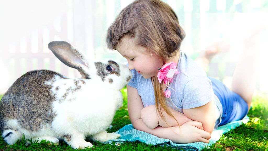 Considera seu pet um membro da família?