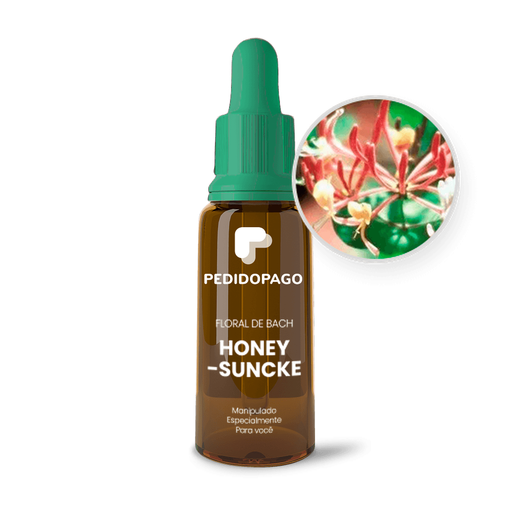 Imagem não encontrada