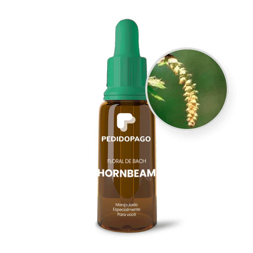 Imagem não encontrada