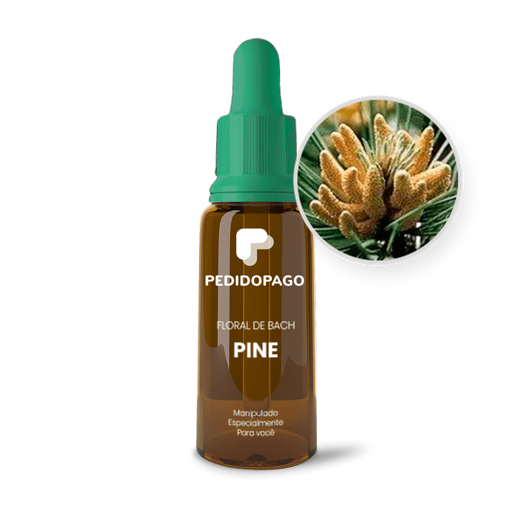 Imagem não encontrada