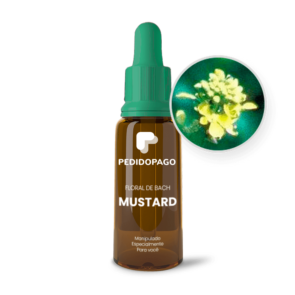 Imagem não encontrada