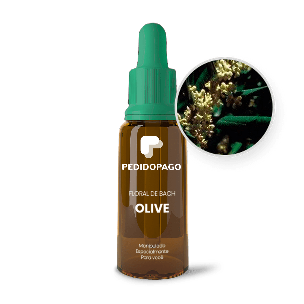 Imagem não encontrada