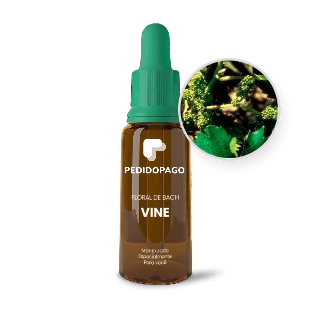 Imagem não encontrada